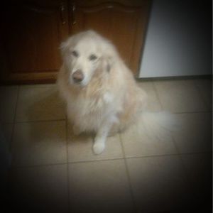 Meet your Posher, Bill